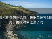 樱桃视频想评论前：先把单位补到图旁，再核对单位漏了吗